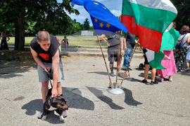 Разград - киноложка изложба