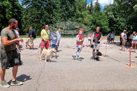 Разград - киноложка изложба