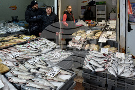 Варна - рибна борса