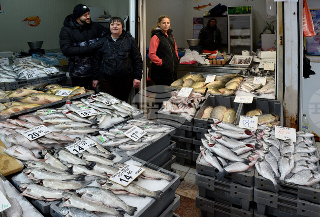 Варна - рибна борса