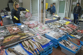 Варна - рибна борса