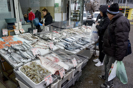 Варна - рибна борса