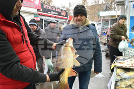 Варна - рибна борса