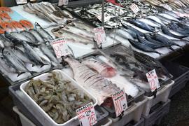 Варна - рибна борса