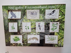 Посетителски център на Природен парк "Беласица" снимка: Евелина Митрева/БТА 