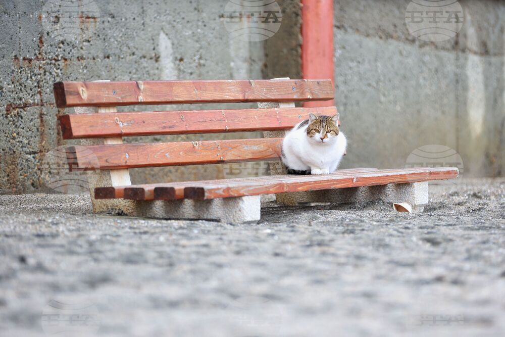 Бургас - крайбрежна алея - пясъчни навявания