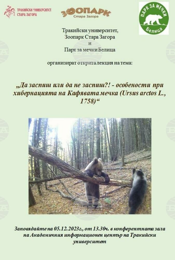 Oсобеностите на хибернацията на кафявата мечка обсъждат експерти в Стара Загора
