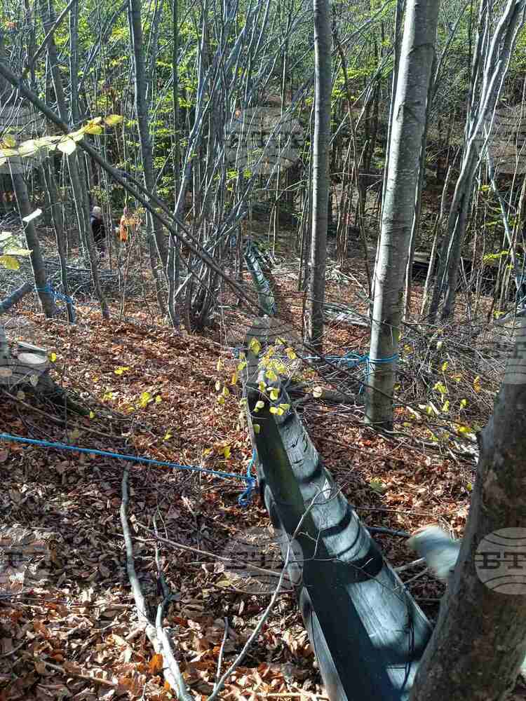 Северноцентрално държавно предприятие - Габрово въвежда иновативна система за щадящ извоз на дървесина по гравитачен път