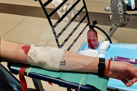 Отбелязване на Международния ден на доброволчеството