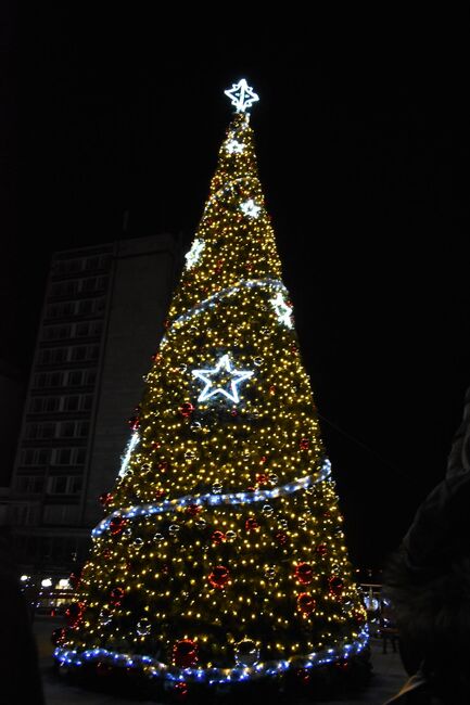 Община Асеновград: Засия коледната елха на Асеновград