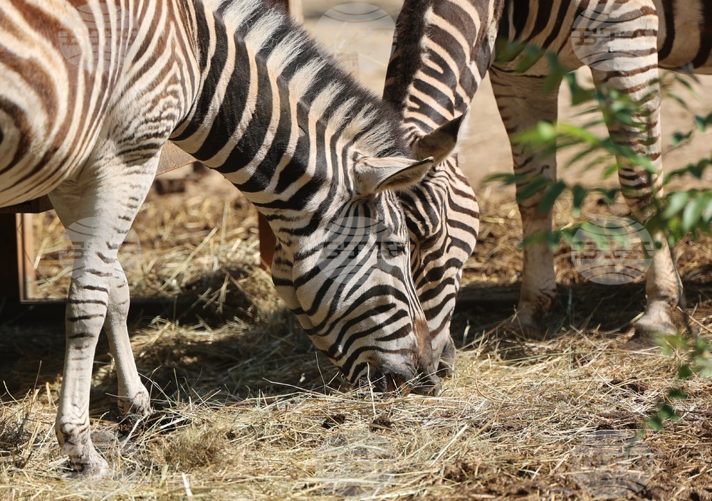 Зоопарк - Световен ден на околната среда