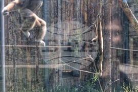 Зоопарк - Световен ден на околната среда