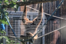 Зоопарк - Световен ден на околната среда