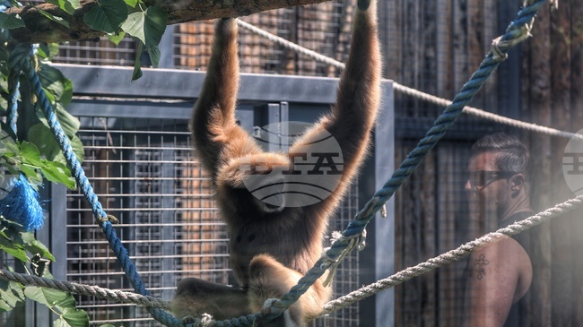 Софийският зоопарк ще бъде с редовно лятно работно време за великденските празници