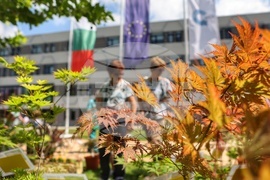 София Тех Парк - флора фестивал