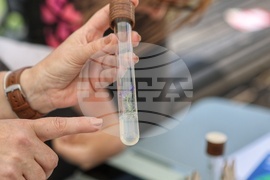 София Тех Парк - флора фестивал