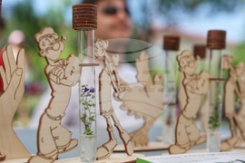 София Тех Парк - флора фестивал