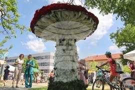 София Тех Парк - флора фестивал