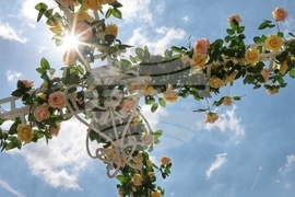 София Тех Парк - флора фестивал