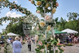 София Тех Парк - флора фестивал