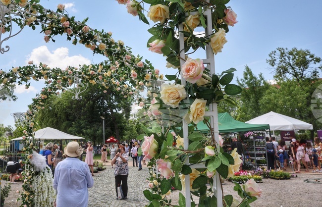  София Тех Парк - флора фестивал