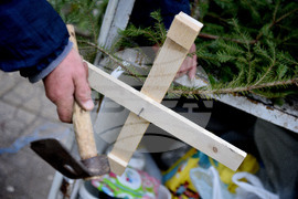 Варна - коледни дръвчета