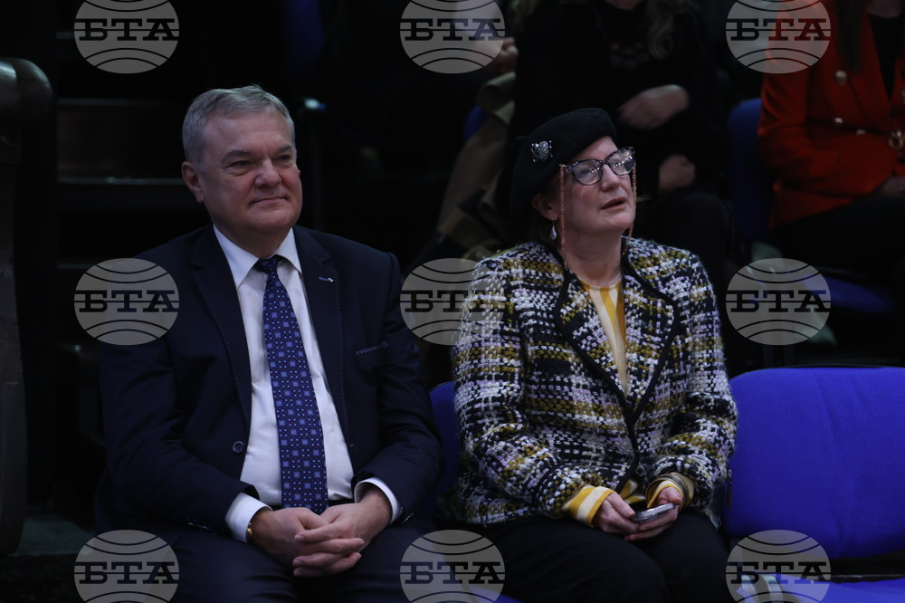 „Нели и Робърт Гипсън“ - стипендия