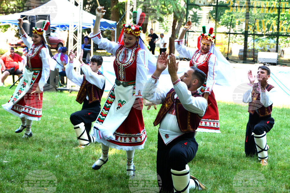 Русе - Златната гъдулка