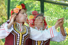 Русе - Златната гъдулка