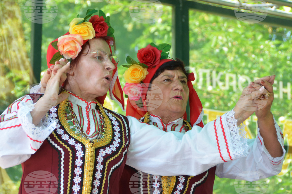 Русе - Златната гъдулка