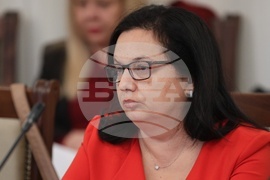 Парламент - Комисията по конституционни въпроси - заседание