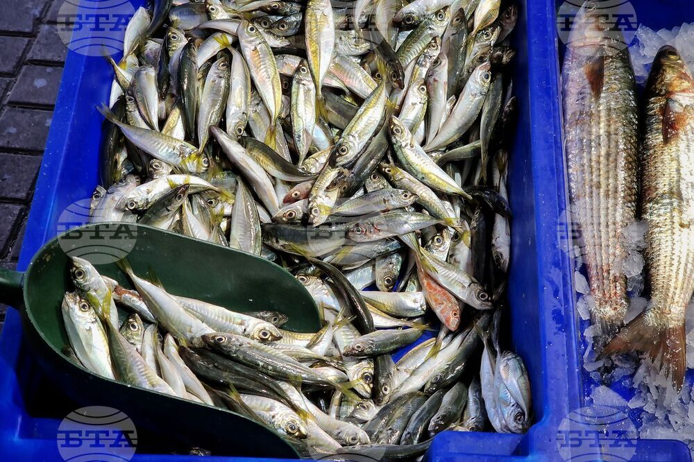 Бургас - пазар - риба