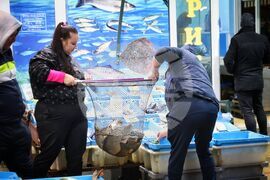 Бургас - пазар - риба