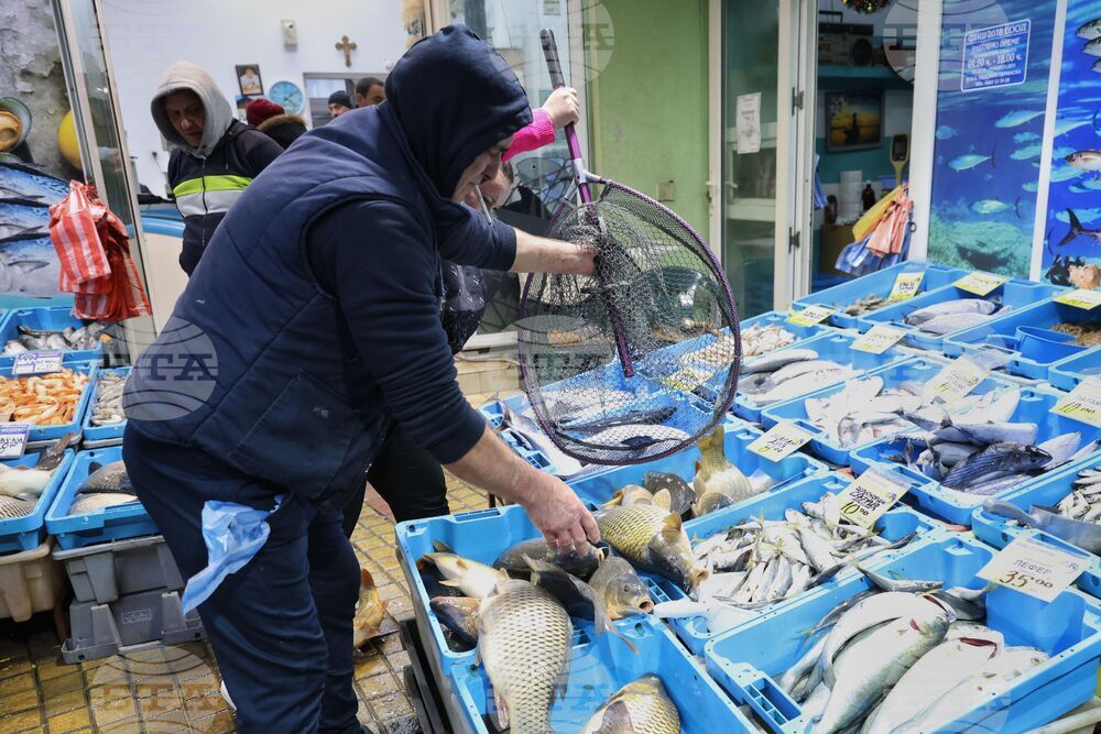 Бургас - пазар - риба