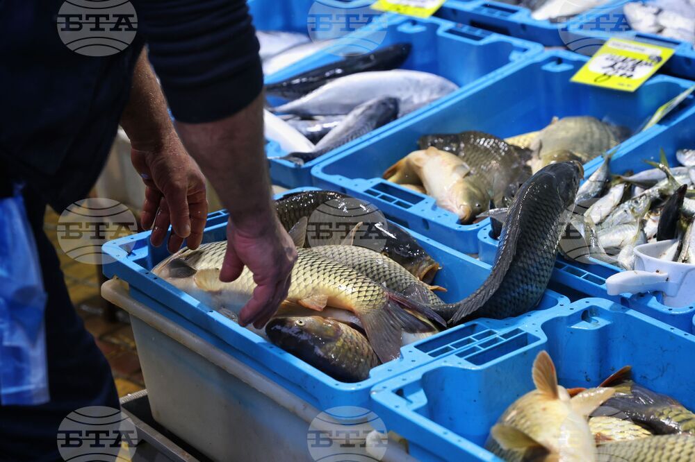 Бургас - пазар - риба