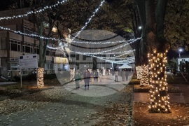 Генерал Тошево - коледни светлини