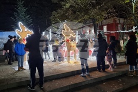 Генерал Тошево - коледни светлини