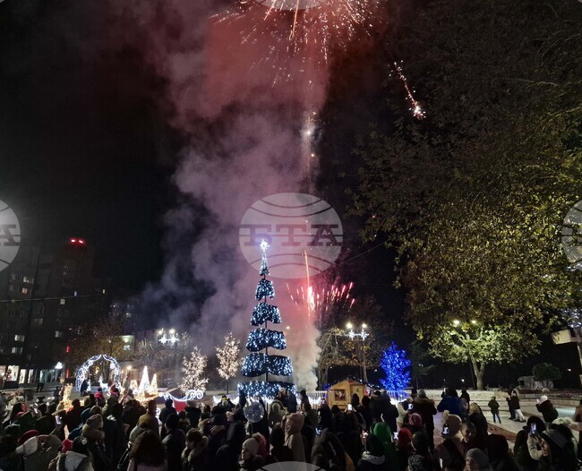 Свищов - коледна елха - запалване на светлини