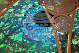 Обединени арабски емирства - мултимедиен спектакъл