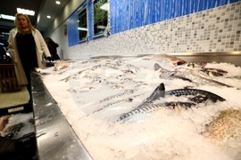 Рибен магазин - БАБХ - проверка