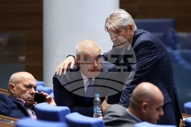 Парламент - заседание