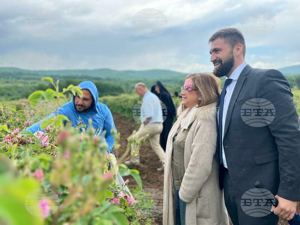 ГЕРБ: Българското розово масло няма да се третира като опасен химически продукт