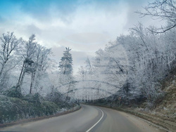 Снимка: АПИ