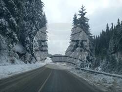 Снимка: АПИ