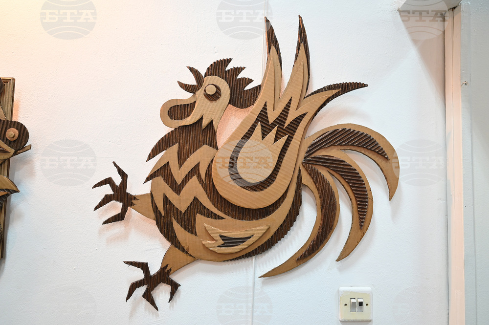 Монтана - Сияна Миланова - излажба