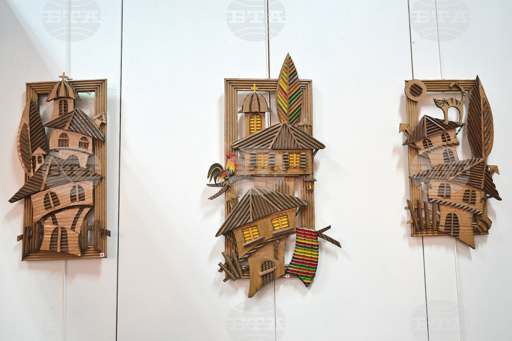 Монтана - Сияна Миланова - излажба