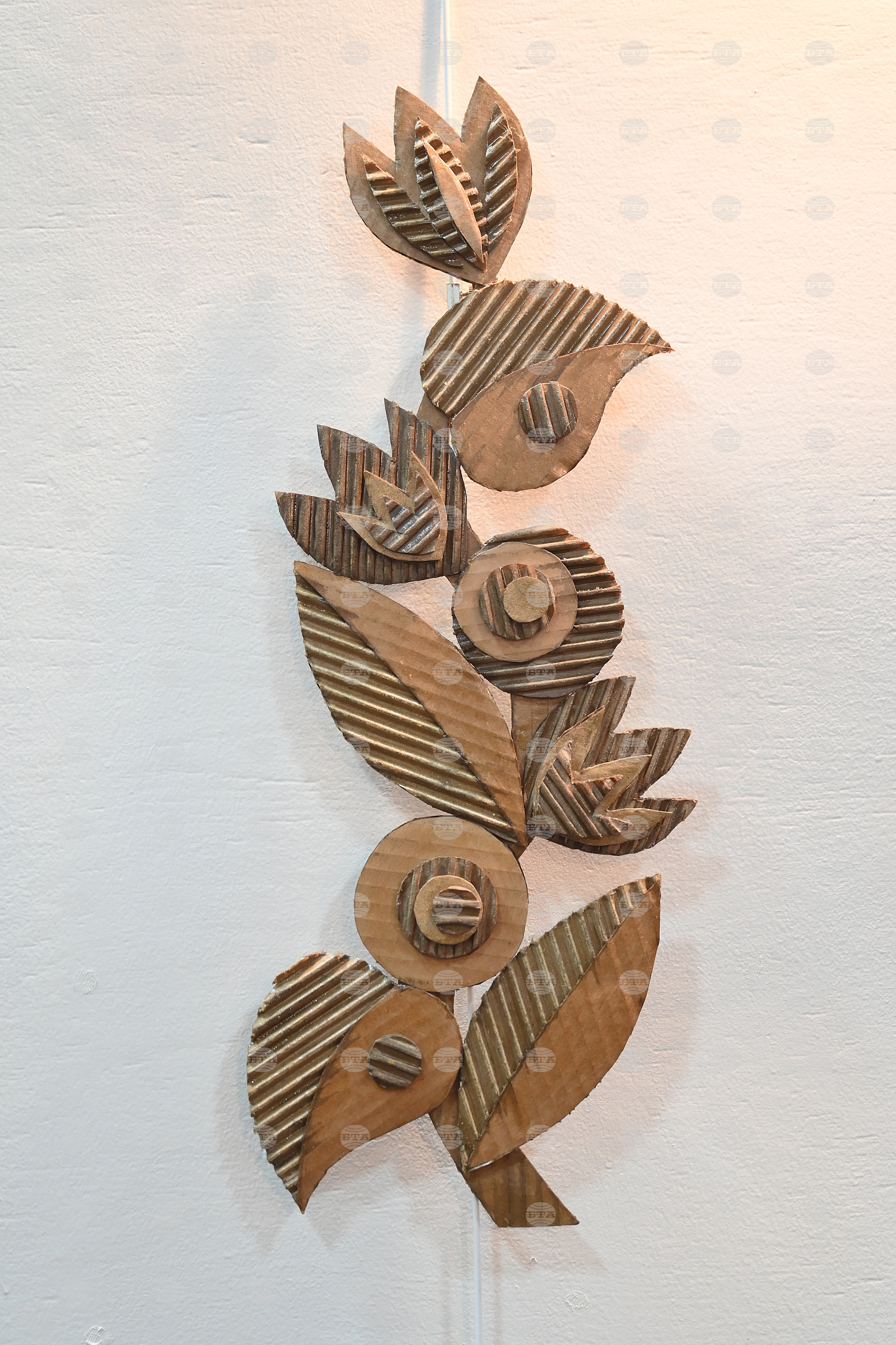 Монтана - Сияна Миланова - излажба