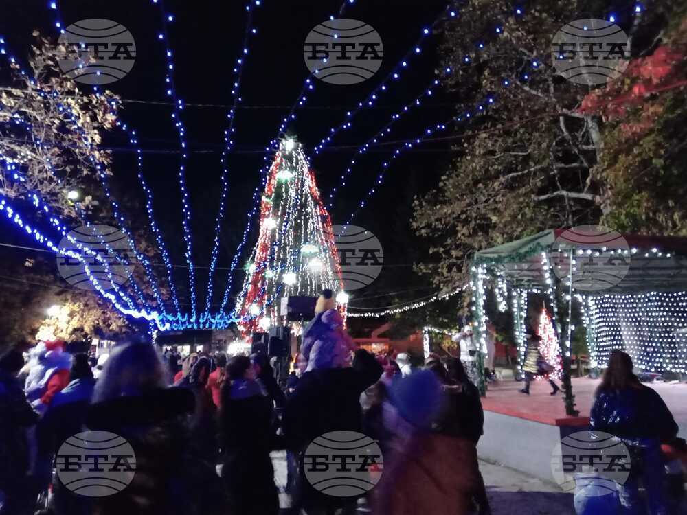 Грейна коледната елха в Тутракан