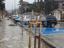 Снимка: Община Банско