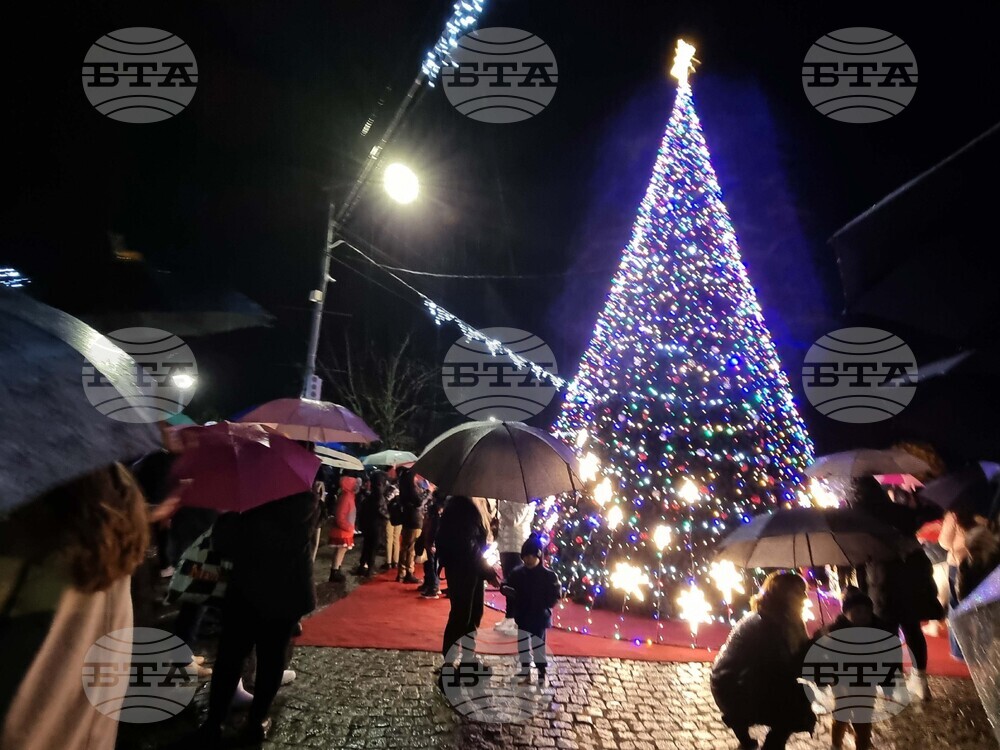 На 5 декември в Кърджали ще бъдат запалени светлините на коледната елха